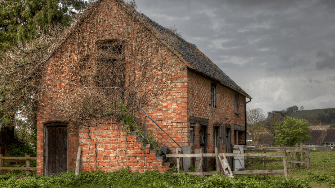 Website images-34
